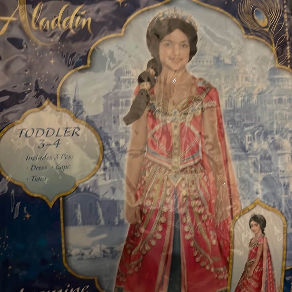Aladdin costume